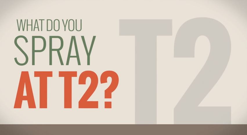 How to get the most out of your T2 spray