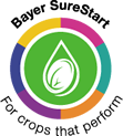 Surestart