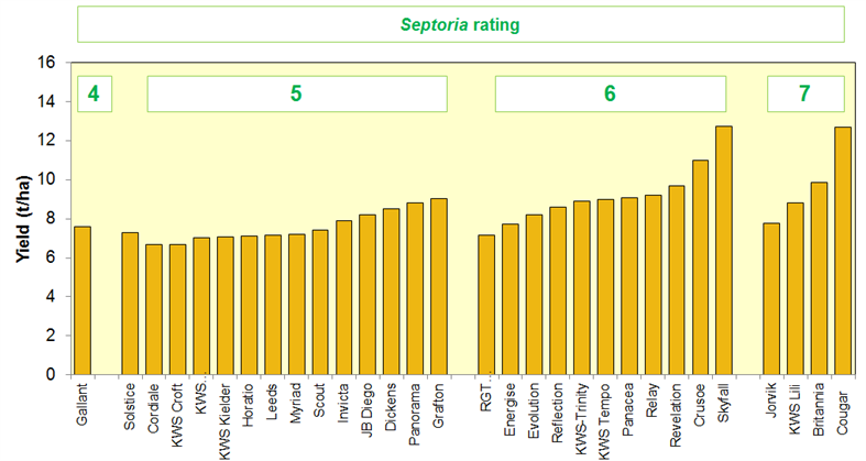 Septoria rating 1