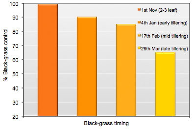 Black grass early treatment chart