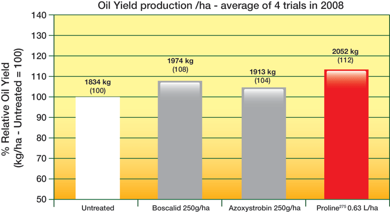 Increased Oil Content