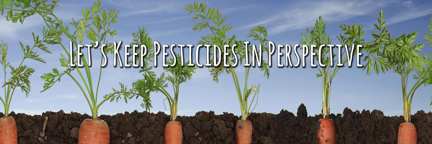pesticidesinperspective top banner