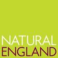 NE logo