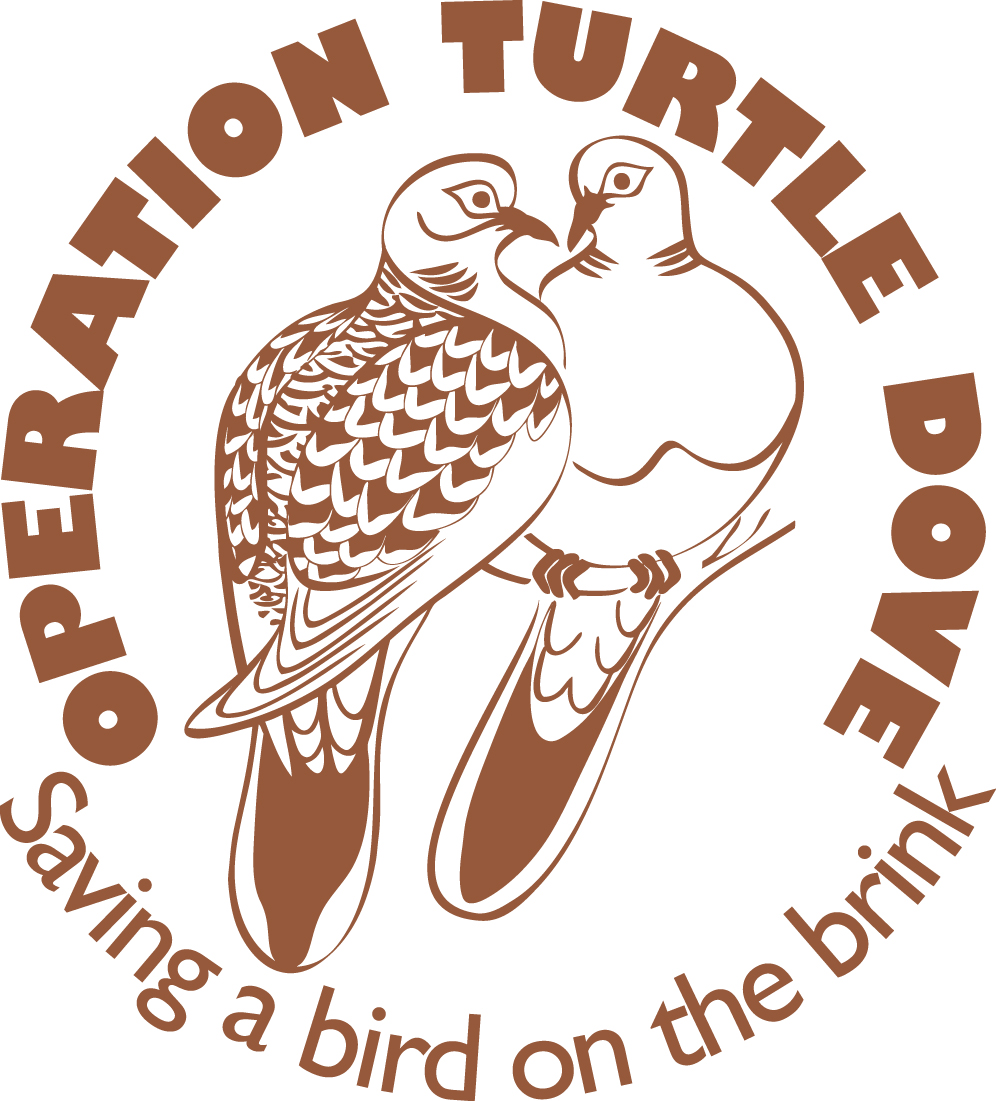 Operation turtle dove