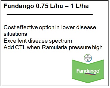 Fandango Rec