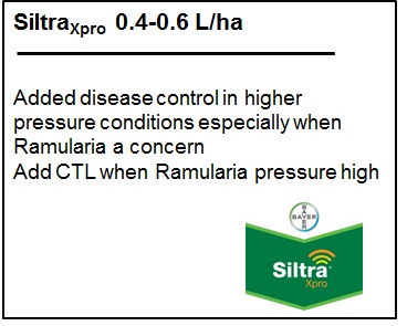 Siltra Rec