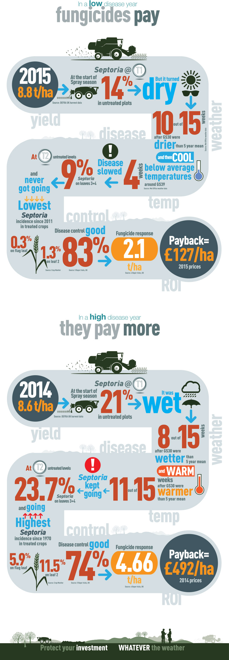 A Look Back Infographic