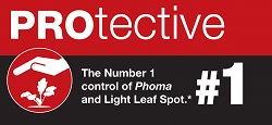Protective Proline