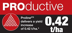 Productive Proline