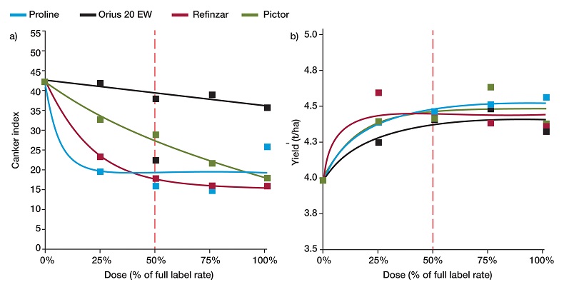 Proline graph Phoma