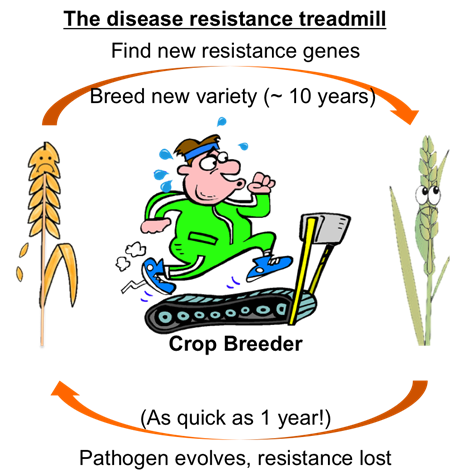 Disease Resistant Treadmill