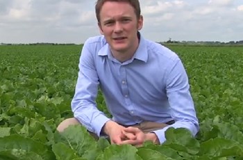 Bayer Crop Science - Sugar beet