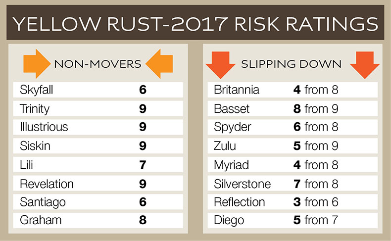 Yellow rust 2017 risk ranking