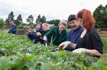 Whirlow Hall Farm - Access