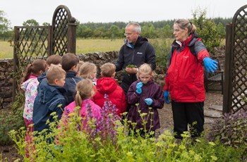 High Crane Lodge - Biodiversity