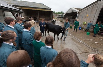 Brockhill School Farm - Future of Farming