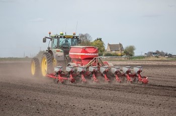 Drilling wheat