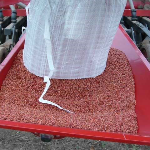 Seed - Bayer Crop Science