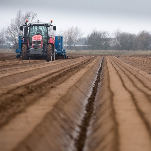 tractor