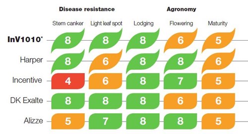 InVigor1010 performance table 2018