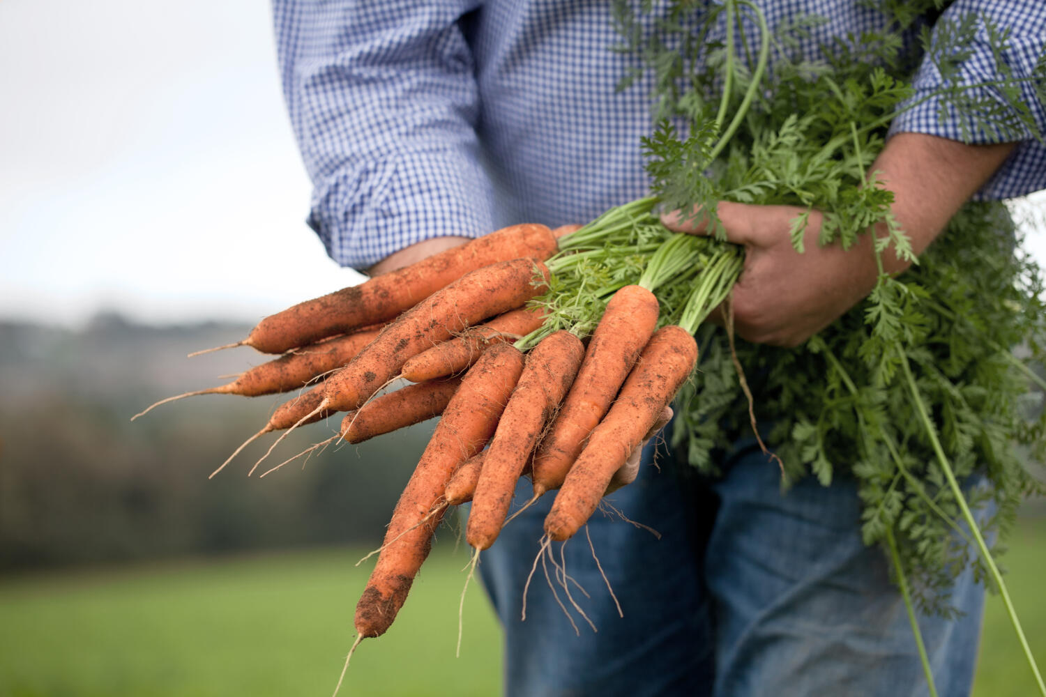 Bayer Crop Science UK: Crop Protection For A Fast-Changing World