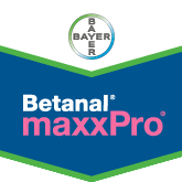 Betanal maxxpro