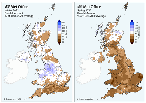 Average rainfall in 2022