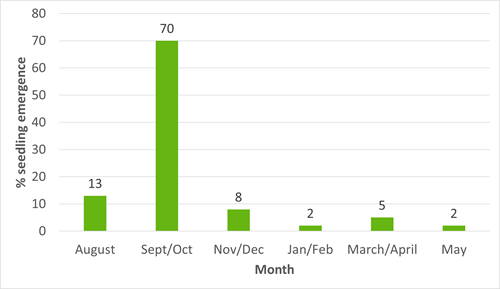 Seedling Emergence Graph
