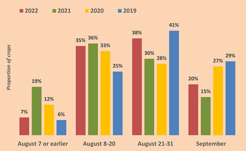 Sowing Date Distribution (2019 - 2022)