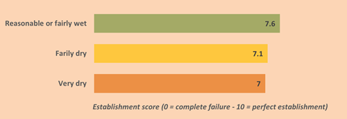Establishment Score by Moisture Conditions at Sowing