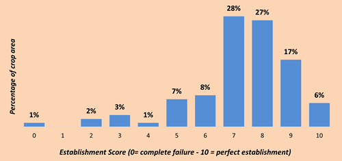 Establishment Score Distribution