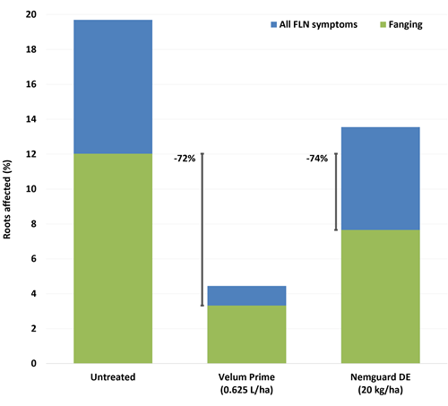 Velum Prime reduced the quantity of roots affected by fanging