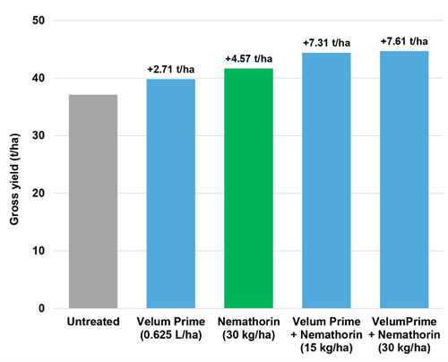 Velum Prime and Nemathorin Chart