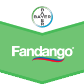 Fandango
