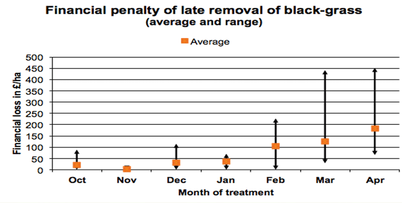 Chart 3