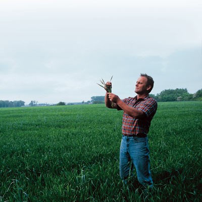 Barley Farmer