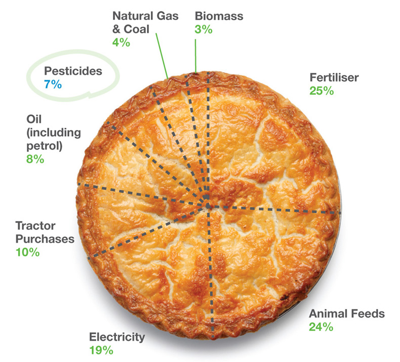 Pie chart