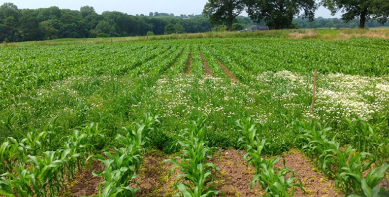 Farm user trial - Shropshire