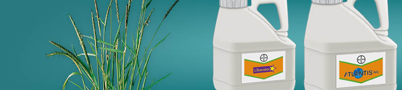 Black-Grass Task Force