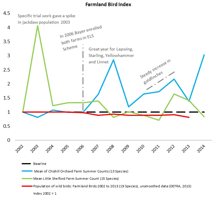 Birdcount Chart