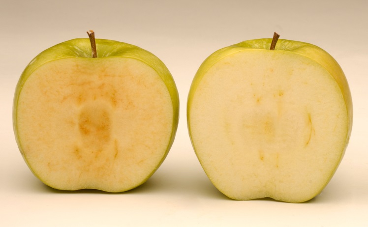 Arctic apples
