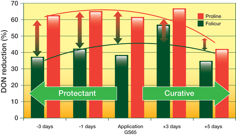 More flexible application window