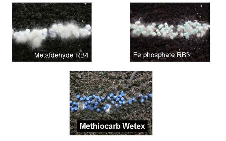 Mould resistance images