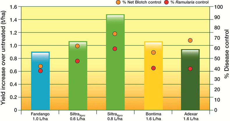 SiltraXpro - the best product for net blotch and ramularia control
