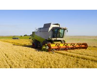 Barley harvest