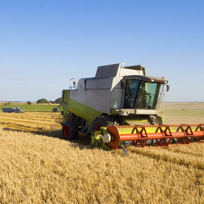 Barley Harvest